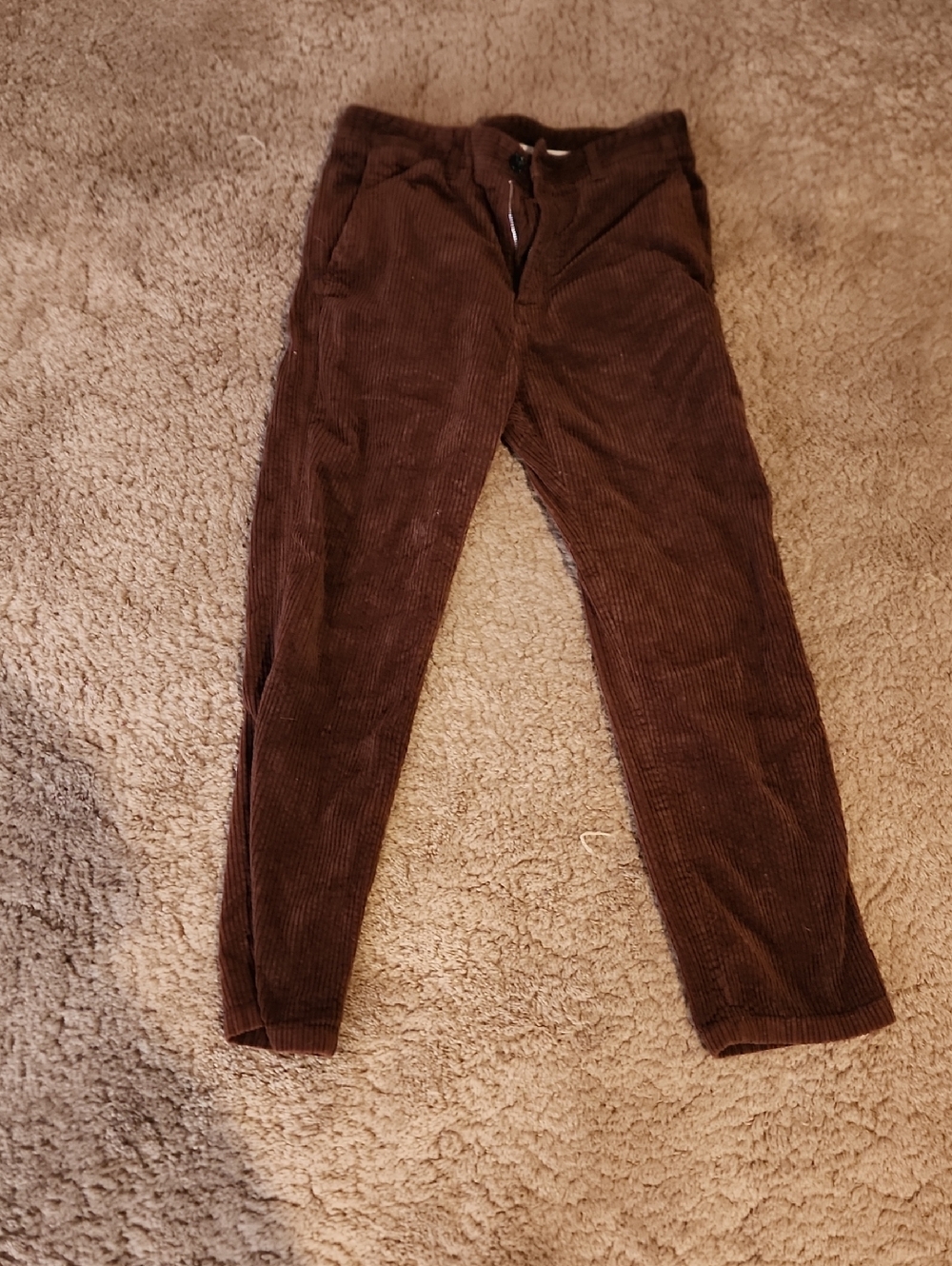 Carhartt Men's Dark Brown Corduroy Pants